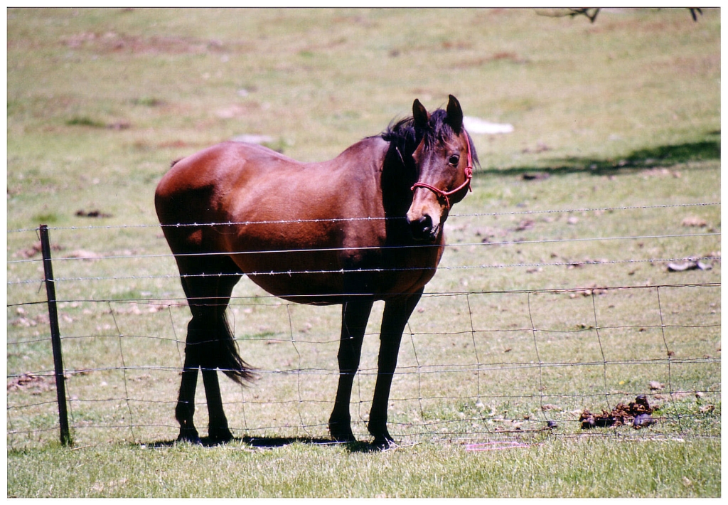 03 - Victoria (0).jpg